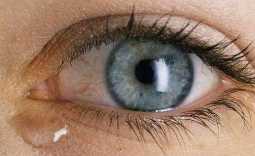 <p><b>Evrensel Yz fadeleri Deneyi</b></p>  Evrensel yz ifadelerini tespit etmek isteyen psikolog Carney Landis, deneklerinin yz kaslarnn hareketini takip etmek iin yzlerine yank bir mantarla hatlar izdi. Daha sonra deneklere amonyak koklatld, caz dinletildi, elleri kurbaa dolu bir sepete sokuldu.