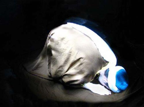 Hanefi: Yzde 77.5 afi: Yzde 11.1 Hanbeli: Binde 1 Maliki: Binde 3 Caferi: Yzde 1 Mezhebe mensup olmayanlar: Yzde 6.3 Mezhebini bilmeyenler: Yzde 2.4