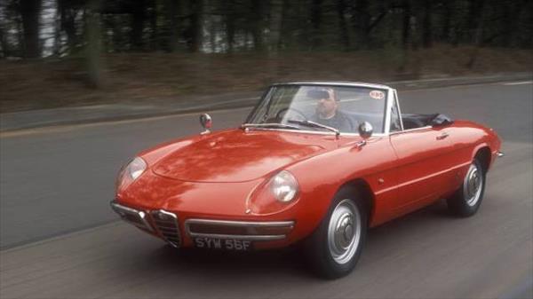 1966 Alfa Romeo Spider