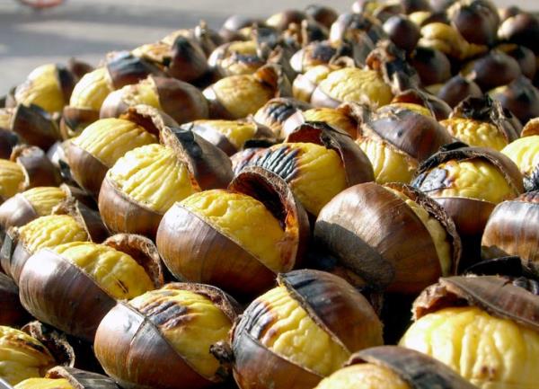 Kestanenin kabuklar halanp suyu iilirse sinirleri yattrr ve atei drr. Ancak yksek tansiyonu ve damar sertlii ikyeti olanlara ve ekere hastalarna tavsiye edilmez.