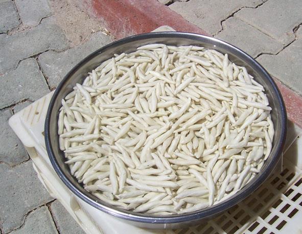 <p><b>KENGER DLER TEMZLER</b></p>  <b>KENGER</b> otunun kklerinden elde edilen kenger sakz kullanlr. Bunun dnda kenger otu, sebze olarak kullanlabilecei gibi meyveleri kavrulup toz haline getirilerek kahve olarak da tketilebilir.