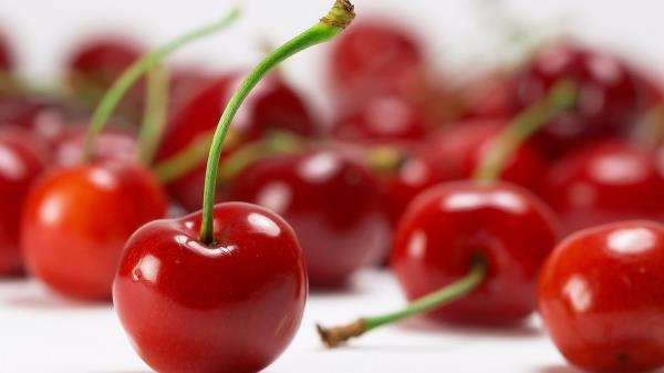 Vine ve suyunun beslenmedeki nemini aratran ABD'li uzmanlar;  <b>vine ve kiraz tketiminin doku hasarn nlediini, bylelikle gen kalmann srrnn da bu iki krmz meyvede</b> olduunu belirtiyor.