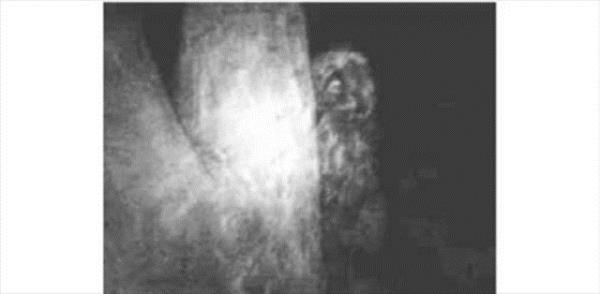 <br><b>Yowie</b></br>  tuhaf biimsiz, kertenkeleyle karnca arasnda bir yaratk. Krmz gzlere ve ylanlardaki gibi byk dilere sahip.