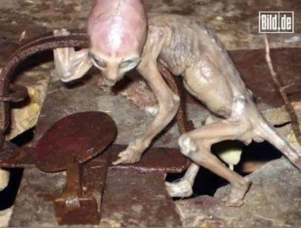 <b>i Francisco Garcia:</b>"Yaayan ikinci bir yaratk grdm. Grdm 70 cm. boyunda bir insanckt. Onu iftlik kapsndan karken grdm, sonra hzlca oradan uzaklat" dedi.