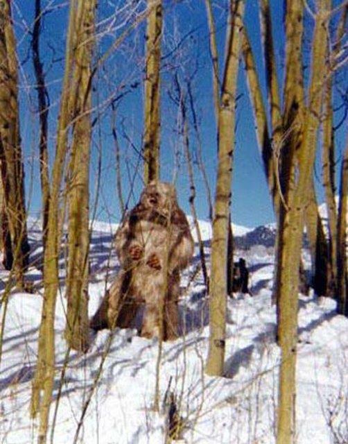 Ancak bu yaratk da henz mitolojik bir e olmaktan kamad ve kanl canl yakalanamad.