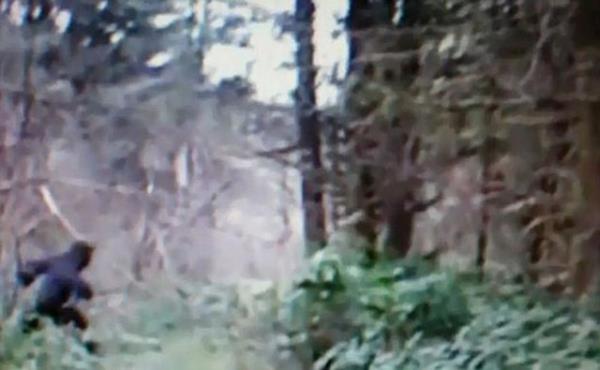 Yeni grnt hakknda imdiden bir ok yorum gelirken, Koca Ayak efsanesini yeniden hatrlatt. Birok bilim adam yar hayvan, yar insan eklinde, arka ayaklar stnde yryen, Kocaayak'a ilikin ihbarlarn aslsz olduunu dnyor.