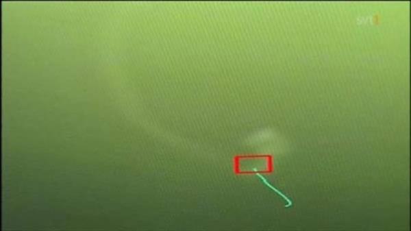 <br><b>sve gl canavar</b></br>   skolarn Loch Ness'inin sve versiyonu. Yerel dilde Storjoodjuret deniliyor. Mitolojik bir yaratk olduuna inanlyor ve sve'teki Byk Gl'de yaad ne srlyor.