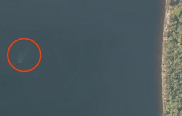 skoya'daki Loch Ness glnde yaadna inanlan ve bir nevi gl dinozoru olduu iddia edilen bu yaratkla ilgi yllardr ok sayda aratrma yapld.