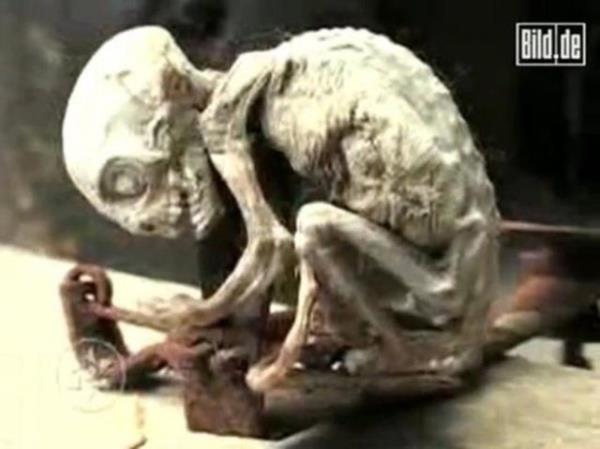 imdilerde bir "yaratktan" daha sz ediliyor.