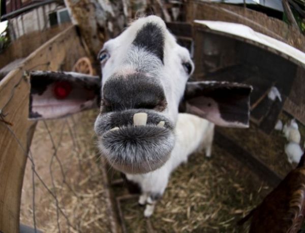 Tk rekorlu kareler...