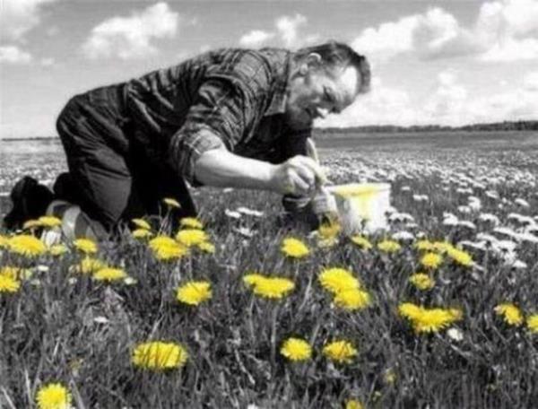 Tk rekorlu kareler...