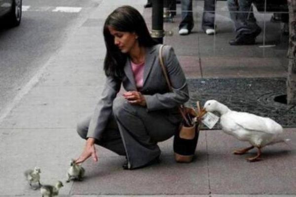 Tk rekorlu kareler...