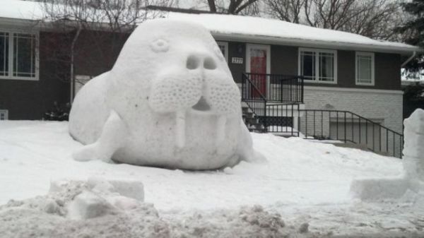 Tk rekorlu kareler...