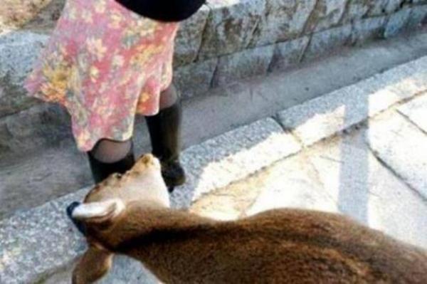 Tk rekorlu kareler...