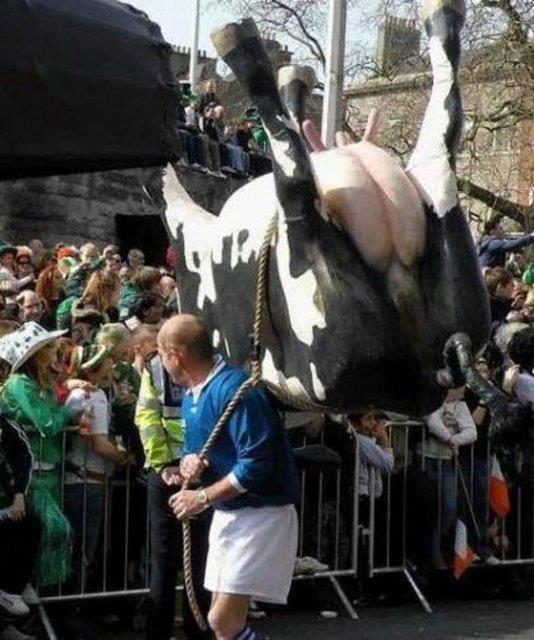 Tk rekorlu kareler...