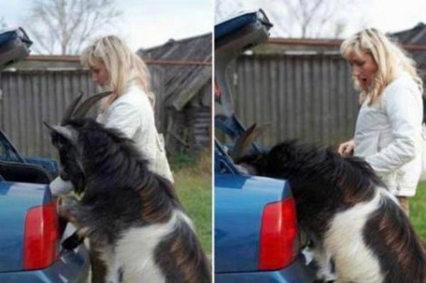 Tk rekorlu kareler...