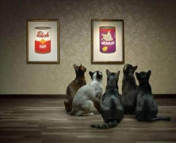 Tk rekorlu kareler...