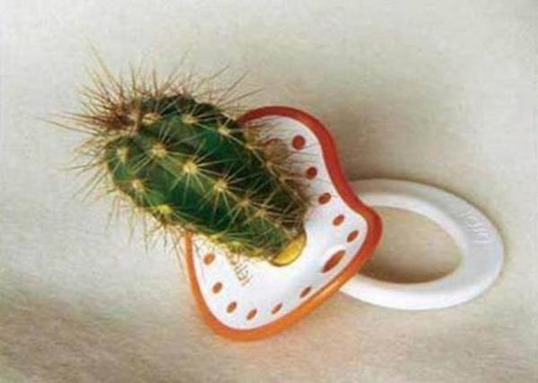 Tk rekorlu kareler...