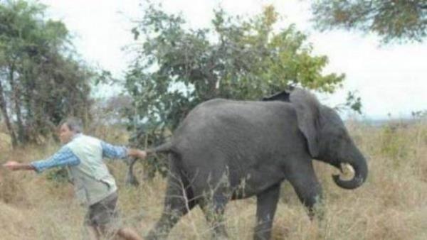 Tk rekorlu kareler...