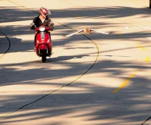 Tk rekorlu kareler...