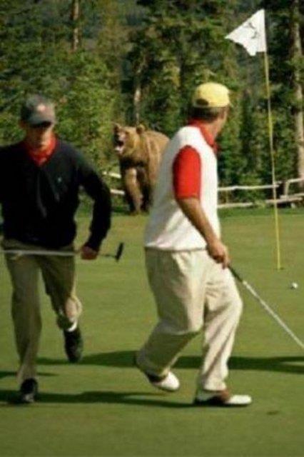 Tk rekorlu kareler...