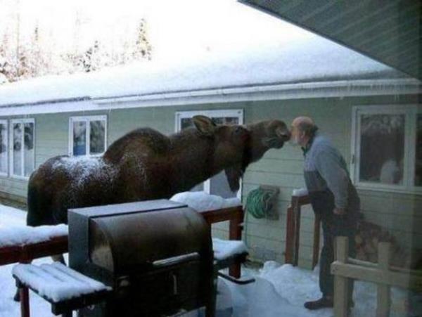 Tk rekorlu kareler...