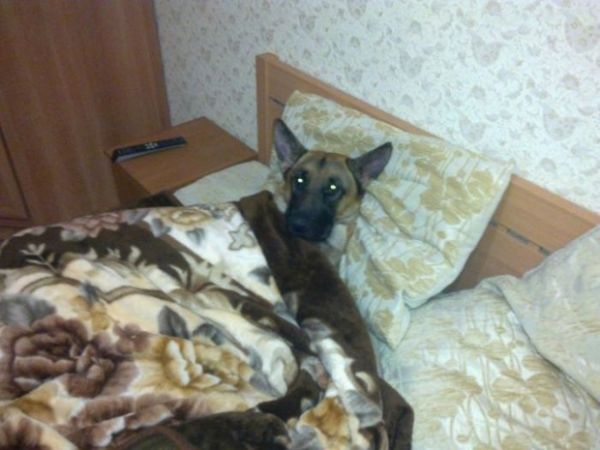 Tk rekorlu kareler...