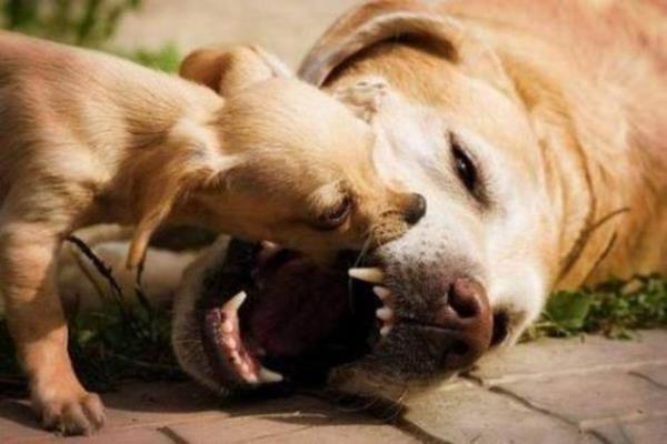 Tk rekorlu kareler...