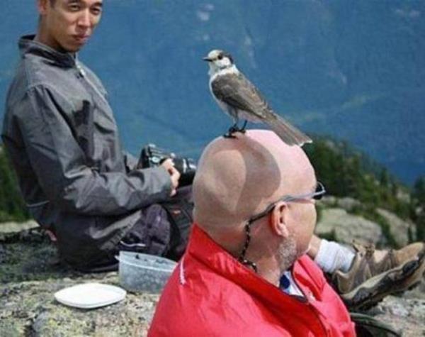 Tk rekorlu kareler...