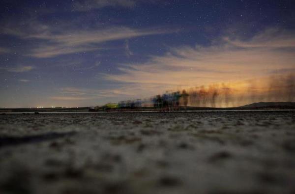 spanya'da ekilen fotorafta yumurtadan ktktan sonra knyelenen flamingon yavrularn ait olduklar yerlere yerletirme telanda olan bir grup insan bellli belirisiz gzkyor. Ama gn batmnda gkyz ve henz karanlk kmeden kendini gsterme telandaki aceleci yldzlar tm grkemiyle fotoraf kaplyor.