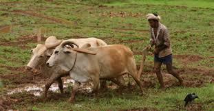 Az gelimi lkelerde: 415