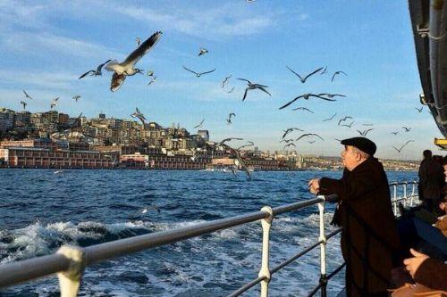 stanbul'da huzur; vapur.