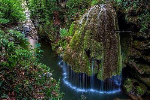 Transilvanya elalesi, Romanya