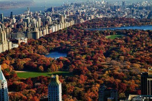 Central Park'ta sonbahar... New York