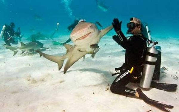 National Geographic fotoraflar.