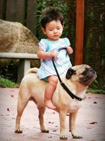 National Geographic fotoraflar.