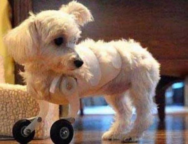 National Geographic fotoraflar.