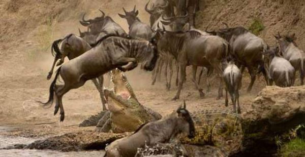 National Geographic fotoraflar.