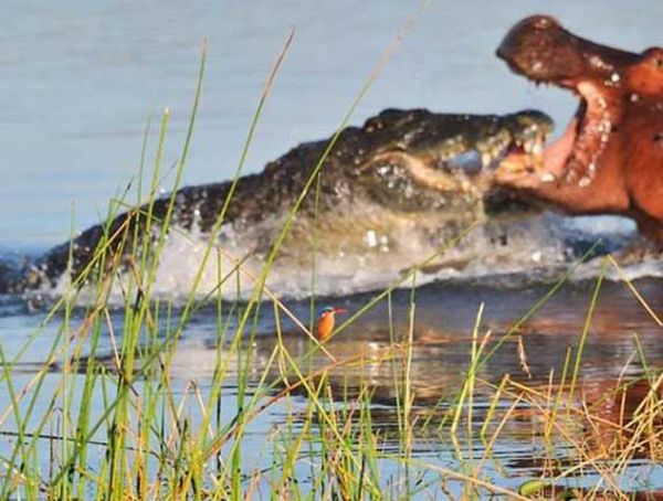 National Geographic fotoraflar.