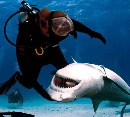 National Geographic fotoraflar.