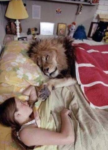 National Geographic fotoraflar.