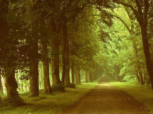 Ramazann son 10 gnnde durumumuz budur. Biyolojik bedenimiz artk bu son 10 gnde kendisine ulaacak Kadir'i beklemektedir' diye konutu.