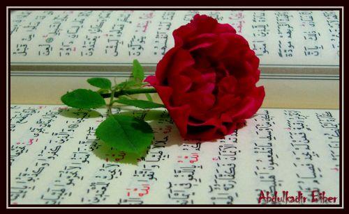 Bayramla ruhun nefis karsndaki zaferi ve kazanlan yeni bilgi ve tecrbelerin heyecan yeni bir derecede kutlanyor.'