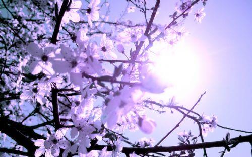 nanm akl olan imanmz, ruh aleminde dolamaya balyor, srlar kefediliyor.