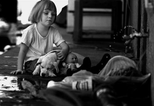 Yavru kpei ve oyunca ile mutlu olmas gerekiyor... Ama deil