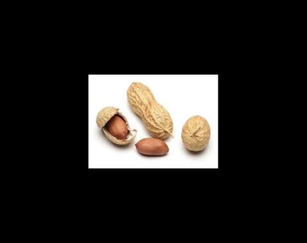 <p><b>BEDAVA FISTIK </b></p>  Siz bir yerde otururken birisi yannza yaklar ve masanza fstk brakr. Eer bir tanesini yerseniz ya ona dokunursanz hemen sizden parasn ister.   <p>RIO DE JANEIRO</p>