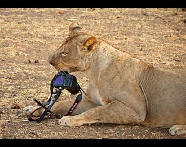 <p><b>FOTORAF</b></p>   Arkada canls gzken biri yannza yaklap fotorafnz ekmeyi teklif eder. En iyi ihtimalle biraz para ister, en kt ihtimalle fotoraf makinenizi alp kaar   <p>BTN AVRUPA</p>