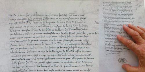 'Kuds San Giovanni tarikatnn ba Pietro D'Aubusson ve Rodos'taki ayn tarikatnn ileri gelenleri, ellerinde tutuklar Zizim'i daha iyi muhafaza edebilmek iin Fransa topraklarna nakletmilerdi. Fakat Papa, Zizim'in Roma Kilisesi'nin topraklarna naklinin daha uygun olacana karar vermilerdi. Zizim'in nakli ve tutukluk artlar konusunda iki yl nce anlamaya varlmasna ramen Fransa Kral nakil ve gerekli yardmlar yerine getirmeyi geiktirmiti.'