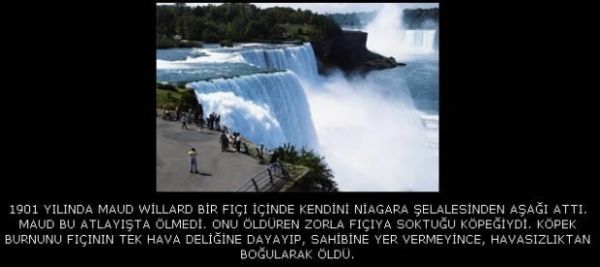 Bu lmler ok ilgin...