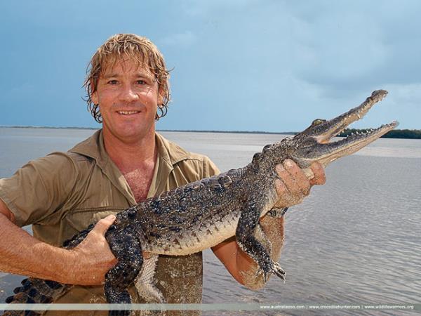 Avustralyal vahi doa uzman Steve Irwin "Timsah Avcs" olarak anlyordu. Irwin, Great Barrier Reef'de belgesel film almas srasnda dikenli bir vatozun gsne inesini frlatmas sonucunda ld.